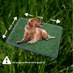 Merkloos Gtrise Hondentoilet Met 2 Matten - Out/Indoor - Zindelijkheidstraining Ebook - Dieren Wc -Hond Benodigdheden 1200x1200 1139
