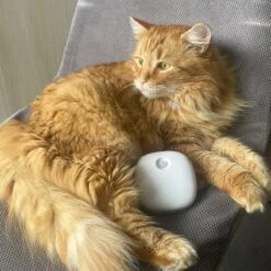 Pettadore Air Insight - Kattenbak Geurverdrijver & Teller - Actieve Zuurstof En Ionen - Oplaadbaar - Met App -Hond Benodigdheden 1200x1200 1159