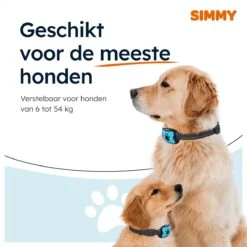 Simmy Anti Blafband - Diervriendelijke Opvoedingshalsband - Zwart En Blauw - Diervriendelijk - Zonder Schok - Anti Blaf Band Voor Grote En Kleine Honden -Hond Benodigdheden 1200x1200 1171