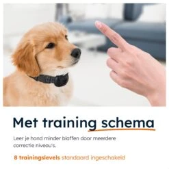 Simmy Anti Blafband - Diervriendelijke Opvoedingshalsband - Zwart En Blauw - Diervriendelijk - Zonder Schok - Anti Blaf Band Voor Grote En Kleine Honden -Hond Benodigdheden 1200x1200 1172