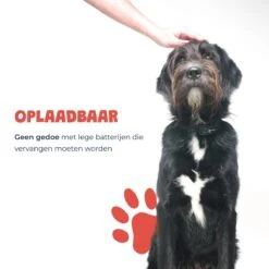 Anti Blafband - Blafband Voor Honden - Oplaadbaar - Anti Blaf Apparaat - Blafband - Diervriendelijk -Hond Benodigdheden 1200x1200 1181