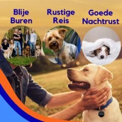 MyPets™ Anti-blafband - Anti Blaf Apparaat - Voor Kleine Honden En Grote Honden - Diervriendelijk - Opvoedingshalsband - Trainingshalsband - 2022/2023 Versie - Inclusief Batterijen -Hond Benodigdheden 1200x1200 1211