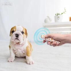 Merkloos LotaHome - Anti Blaf Apparaat - Hondentrainer Voor Binnen En Buiten - Bereik Tot 15 Meter - Diervriendelijk - Zonder Schok - Ultrasone - Voor Alle Honden - Inclusief Clicker