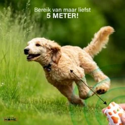 Merkloos LotaHome - Anti Blaf Apparaat - Hondentrainer Voor Binnen En Buiten - Bereik Tot 15 Meter - Diervriendelijk - Zonder Schok - Ultrasone - Voor Alle Honden - Inclusief Clicker -Hond Benodigdheden 1200x1200 1221