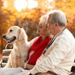 Merkloos LotaHome - Anti Blaf Apparaat - Hondentrainer Voor Binnen En Buiten - Bereik Tot 15 Meter - Diervriendelijk - Zonder Schok - Ultrasone - Voor Alle Honden - Inclusief Clicker -Hond Benodigdheden 1200x1200 1223