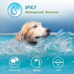 Anti Blafband EN Trainingshalsband In 1 - UNIEK SYSTEEM - 1000m Bereik - 100 Levels 20 Anti Blafband EN Trainingshalsband In 1 - UNIEK SYSTEEM - 1000m Bereik - 100 Levels -Hond Benodigdheden 1200x1200 1229