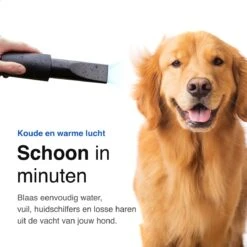 Vivid Green Waterblazer Met 3 Opzetstukken - Hondenfohn - Voor Honden - Met Geluiddemper - 2800W -Hond Benodigdheden 1200x1200 15