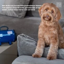 Nuvoo Professionele Hondenföhn / Waterblazer / Hondenborstel Met 3 Opzetstukken - Verstelbare Vermogen Tot 2200W - Warme / Koude Stand - Rood -Hond Benodigdheden 1200x1200 182