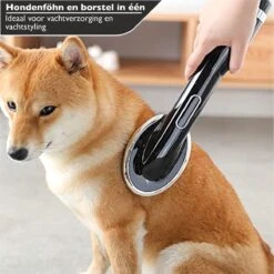 RoiPets® Hondenfohn 2 In 1 – 1000W - Honden Droger – Met Borstel - Waterblazer - Haar Verzorging - Honden Borstel Zwart - Honden/Katten/Dieren -Hond Benodigdheden 1200x1200 185