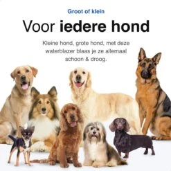 Vivid Green Waterblazer Met 3 Opzetstukken - Hondenfohn - Voor Honden - Met Geluiddemper - 2800W -Hond Benodigdheden 1200x1200 19
