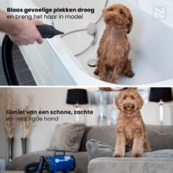 Nuvoo Professionele Hondenföhn / Waterblazer / Hondenborstel Met 3 Opzetstukken - Verstelbare Vermogen Tot 2200W - Warme / Koude Stand - Zwart -Hond Benodigdheden 1200x1200 193