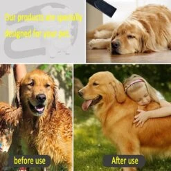 Hondenfohn - Waterblazer Met Draaiknop - 2400W Vermogen Met Warme En Koude Stand - Wit 21 Hondenfohn - Waterblazer Met Draaiknop - 2400W Vermogen Met Warme En Koude Stand - Wit -Hond Benodigdheden 1200x1200 197