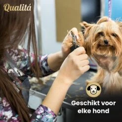 Merkloos Professionele Honden Tondeuse Set - Tondeuse Voor Huisdier Honden En Katten - Hondentrimmer - Hondentondeuse -Hond Benodigdheden 1200x1200 201