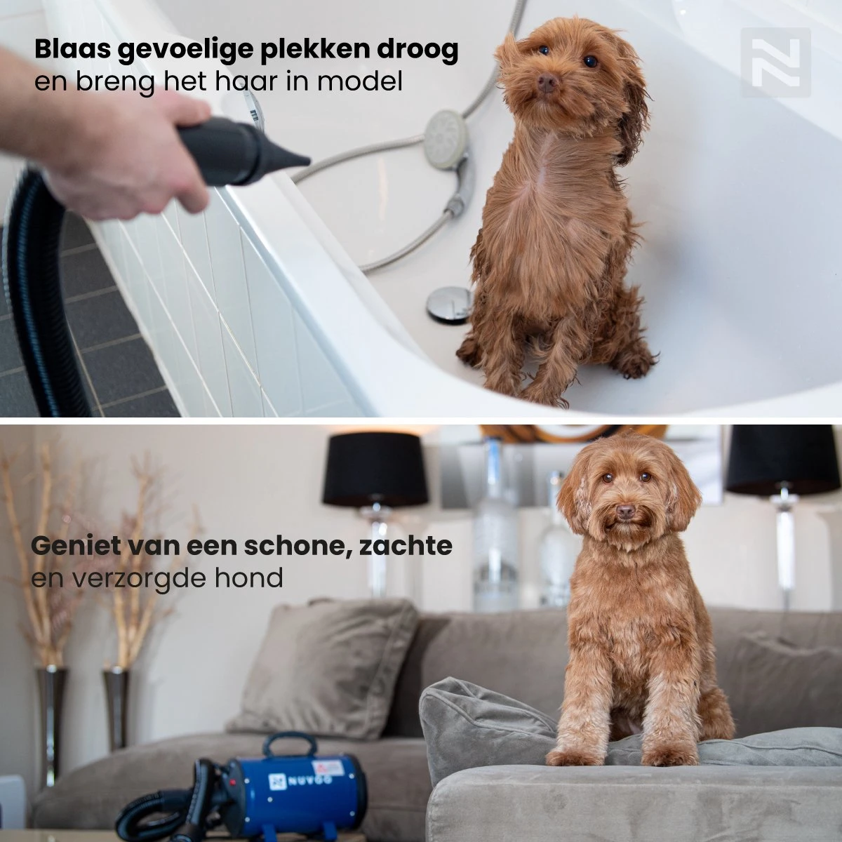 Nuvoo Professionele Hondenföhn / Waterblazer / Hondenborstel Met 3 Opzetstukken - Verstelbare Vermogen Tot 2200W - Warme / Koude Stand - Roze 5 Nuvoo Professionele Hondenföhn / Waterblazer / Hondenborstel Met 3 Opzetstukken - Verstelbare Vermogen Tot 2200W - Warme / Koude Stand - Roze - Afbeelding 5