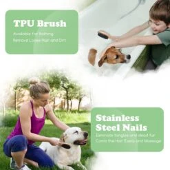 Hond Benodigdheden -Hond Benodigdheden 1200x1200 21