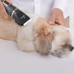 Tjilla Professionele Dieren/honden Tondeuse Set Extra Krachtig - Honden Trimmer - Lang Of Kortharige Huisdieren Katten & Honden - Draadloos - Weinig Geluid -Hond Benodigdheden 1200x1200 223
