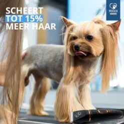 YE™ Professionele Dieren/honden Tondeuse Set Extra Krachtig - Honden Trimmer - Lang Of Kortharige Huisdieren Katten & Honden - Draadloos - Weinig Geluid -Hond Benodigdheden 1200x1200 231