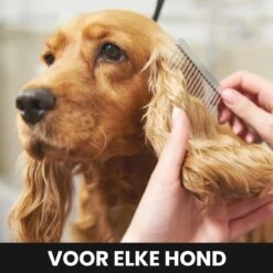 Hondentondeuse - Honden & Katten - Trimmer - Geluidsloos -Hond Benodigdheden 1200x1200 256