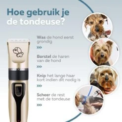 BYER Professionele Dieren Tondeuse Set - Voor Huisdieren Katten & Honden - Draadloos - Oplaadbare Pet Trimmer - Dog Tondeuze Clipper - 5 Standen & Vier Opzetkammen - Low Noise -Hond Benodigdheden 1200x1200 266