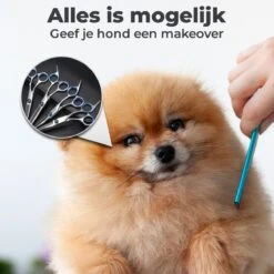 VoordeelShop 7-Delige Huisdier Knipset Met Etui - Trimmen Hond - Honden Schaar - Effileerschaar Hond - Huisdier Trimmer - Huisdier Knippen - Knipschaar Haar - Haar Schaar - Kapper - Kapperset - Scharenset -Hond Benodigdheden 1200x1200 269