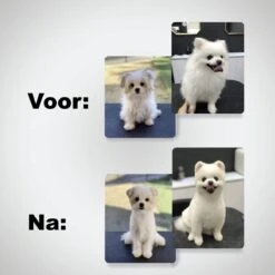 VoordeelShop 7-Delige Huisdier Knipset Met Etui - Trimmen Hond - Honden Schaar - Effileerschaar Hond - Huisdier Trimmer - Huisdier Knippen - Knipschaar Haar - Haar Schaar - Kapper - Kapperset - Scharenset -Hond Benodigdheden 1200x1200 274