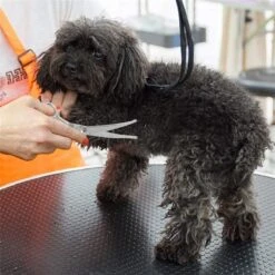 Merkloos Premium Gebogen Trimschaar Honden - Huisdier Trimmen - Hoofd, Poten Ogen & Oren - Kat & Hond Knippen - Veilige Schaar -Hond Benodigdheden 1200x1200 277