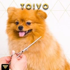 Toivo Schaar Voor Dieren - Zilver - Effileerscharen - Honden Scharenset - Dierenschaar - Set 5 Stuks - Trimscharen - Trimset - Uitdunschaar Hond - Schaar Honden -Hond Benodigdheden 1200x1200 284