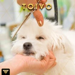 Toivo Schaar Voor Dieren - Zilver - Effileerscharen - Honden Scharenset - Dierenschaar - Set 5 Stuks - Trimscharen - Trimset - Uitdunschaar Hond - Schaar Honden -Hond Benodigdheden 1200x1200 285