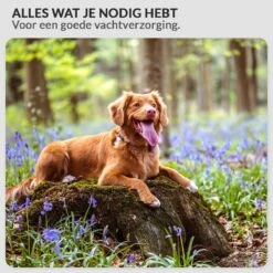 Krachtige Hondenföhn/ Waterblazer Met Draaiknop Om Overtollig Water En Stof Snel Uit De Vacht Te Blazen | Verstelbare Vermogen Standen (500W Tot 2200W) En Verstelbare Temperatuur - Type B Oranje -Hond Benodigdheden 1200x1200 300