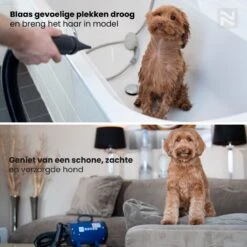 Nuvoo Professionele Hondenföhn / Waterblazer / Hondenborstel Met 3 Opzetstukken - Verstelbare Vermogen Tot 2200W - Warme / Koude Stand - Blauw -Hond Benodigdheden 1200x1200 322