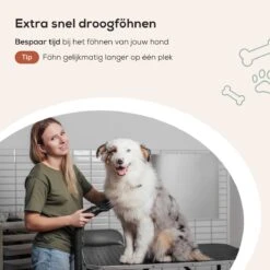 MiMOPETS® Hondenföhn Met 4 Opzetstukken – Waterblazer Voor Honden Met Geluiddemper -Hondendroger - Zwart 15 MiMOPETS® Hondenföhn Met 4 Opzetstukken – Waterblazer Voor Honden Met Geluiddemper -Hondendroger - Zwart -Hond Benodigdheden 1200x1200 332