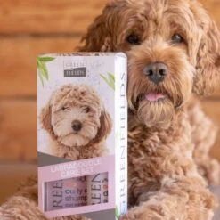Greenfields Labradoodle Vacht Verzorgingsset - Shampoo En Anti-Klit Spray Voor Langharige Of Krullende Vacht -Hond Benodigdheden 1200x1200 350