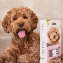 Greenfields Labradoodle Vacht Verzorgingsset - Shampoo En Anti-Klit Spray Voor Langharige Of Krullende Vacht -Hond Benodigdheden 1200x1200 351