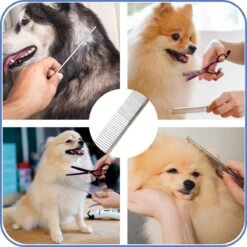 TwinQ Vachtverzorgingsset Hond/kat - Professionele 2-zijdige Ondervacht Kam - Klittenkam Voor Honden En Katten - Verwijderd Klitten En Voorkomt Haaruitval - Incl. Vlooienkam En Tandenborstel -Hond Benodigdheden 1200x1200 375