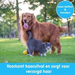 Professionele Ondervacht Kam Voor Hond En Kat S – Hondenborstel – Kattenborstel - Hondenkam –Anti Klit - Haarverwijderaar Voor Huisdieren - Pijnloos - Huisdiervriendelijk – Klittenkam - Voorkomt Haaruitval - Kleine Variant- Black Friday - Sinterklaas -Hond Benodigdheden 1200x1200 398