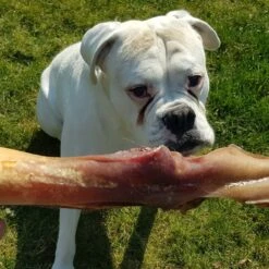 Topdiervoeding Runderkophuid Hondensnacks - Vers Gedroogd - 30cm - 1000 Gram -Hond Benodigdheden 1200x1200 436