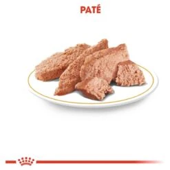 Royal Canin Chihuahua Pouch (12X85 GR) 11 Royal Canin Chihuahua Pouch (12X85 GR) -Hond Benodigdheden 1200x1200 445