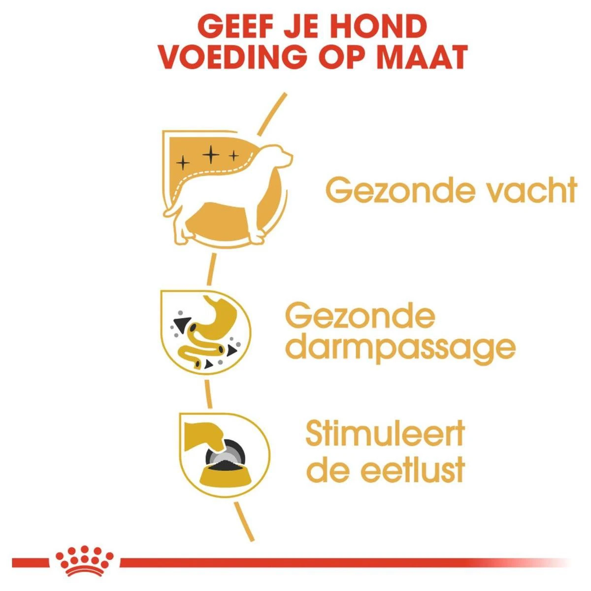 Royal Canin Chihuahua Pouch (12X85 GR) 4 Royal Canin Chihuahua Pouch (12X85 GR) - Afbeelding 4