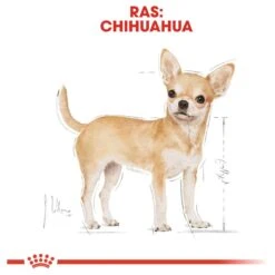 Royal Canin Chihuahua Pouch (12X85 GR) 13 Royal Canin Chihuahua Pouch (12X85 GR) -Hond Benodigdheden 1200x1200 447