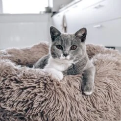 District 70 FUZZ - Hondenmand Comfortabel En Zacht Pluche - Zand, Oudroze, Donkergrijs En Lichtgrijs In S/M/L/XL - Maat: Medium, Kleur: Zand -Hond Benodigdheden 1200x1200 474