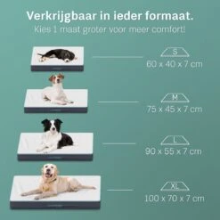 Hond Benodigdheden -Hond Benodigdheden 1200x1200 481