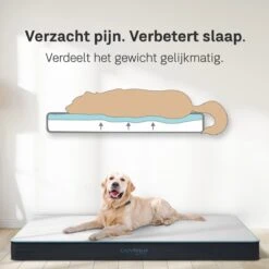 CozySense® - Orthopedisch Hondenkussen - Hondenkussen 90 X 55 Cm - Ook Geschikt Als Benchkussen & Hondenbed - Hondenkussen Bank - Traagschuim - Waterdicht - Wasbare Hoes - Maat L -Hond Benodigdheden 1200x1200 482