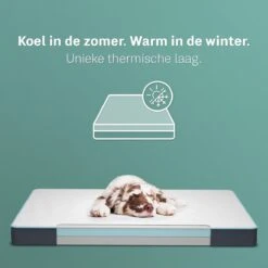 CozySense® - Orthopedisch Hondenkussen - Hondenkussen 90 X 55 Cm - Ook Geschikt Als Benchkussen & Hondenbed - Hondenkussen Bank - Traagschuim - Waterdicht - Wasbare Hoes - Maat L -Hond Benodigdheden 1200x1200 483