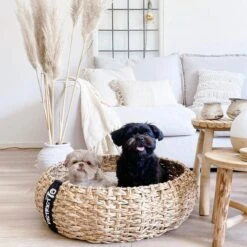 District 70 COCOON - Luxe Hondenmand Van Duurzaam Hoogwaardig Riet Met Zacht Kussen - Maten S/M/L - Large -Hond Benodigdheden 1200x1200 513