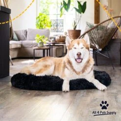 All 4 Pets Supply® Hondenmand Donut - Maat XL - Geschikt Voor Honden Tot 100 Cm - Hondenkussen - Zwart -Hond Benodigdheden 1200x1200 527