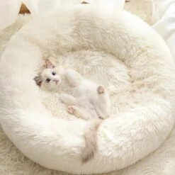Bonbox Shop - Maat S - Donut Bed In Wit - Dierenmand Voor Katten, Kittens En Kleine Honden - Knus Mandje - Donutbed Diameter 40 Cm - Anti Anxiety 9 Bonbox Shop - Maat S - Donut Bed In Wit - Dierenmand Voor Katten, Kittens En Kleine Honden - Knus Mandje - Donutbed Diameter 40 Cm - Anti Anxiety -Hond Benodigdheden 1200x1200 536