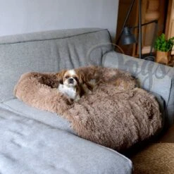 Dogs&Co Zachte Fluffy Hondenmat Voor Bank Maat L Khaki 120x90cm - Hondenmand -Hond Benodigdheden 1200x1200 547