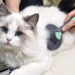 Pakeway Kattenborstel – Hondenborstel – Haarverwijderaar Voor Huisdieren – Kattenkam - Kortharig - Langharig - Inclusief Ebook! -Hond Benodigdheden 1200x1200 56