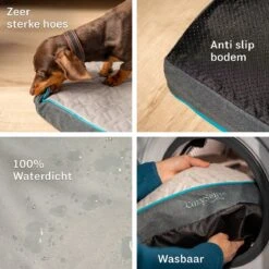 CozySense® - Orthopedisch Hondenkussen - Hondenkussen 60 X 40 Cm - Ook Geschikt Als Benchkussen & Hondenbed - Hondenkussen Bank - Traagschuim - Waterdicht - Wasbare Hoes - Maat S -Hond Benodigdheden 1200x1200 611