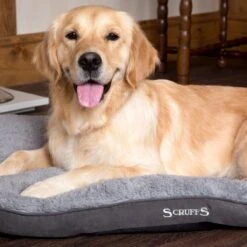 Scruffs Cosy - Comfortabel Hondenkussen In Grijs, Beige Of Karamel - Met Imitatie Suède Buitenvoering En Superzachte Binnenvoering - 100 X 70 Cm - Grijs -Hond Benodigdheden 1200x1200 656